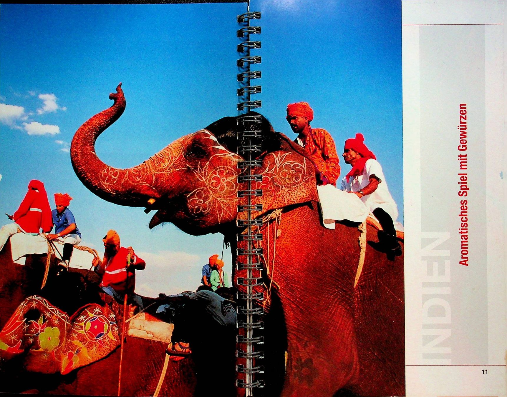 Libri: Saison Küche Trendküche Asien – Usato da Reitnau venduto da Zaomir 2