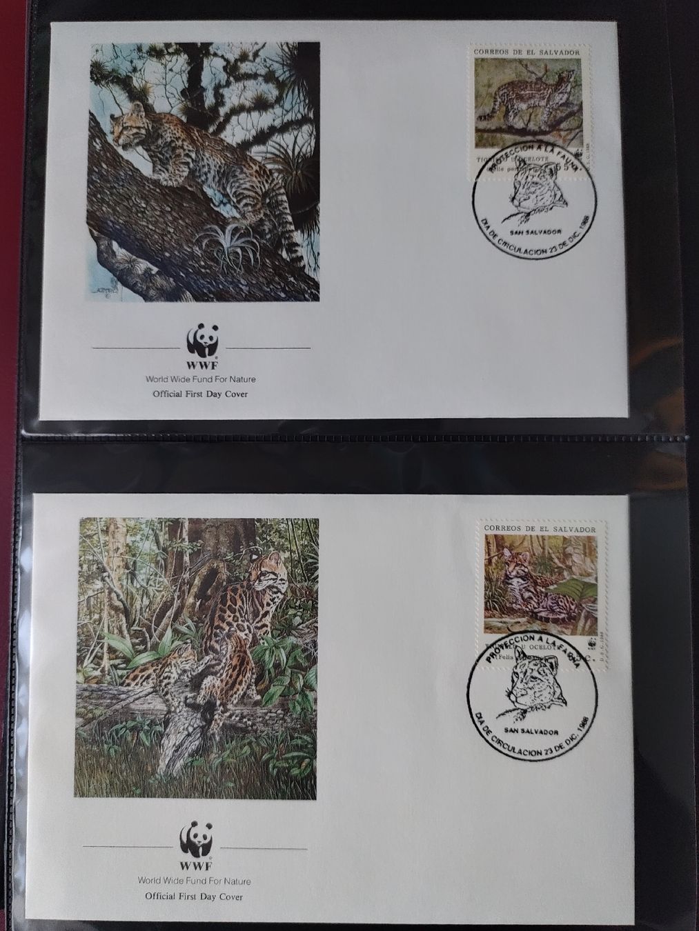 Tutti i francobolli: WWF Ozelot Langschwanzkatze Briefmarken Sammlung – Nuovo (secondo la descrizione) da Greifensee venduto da Retepw 7