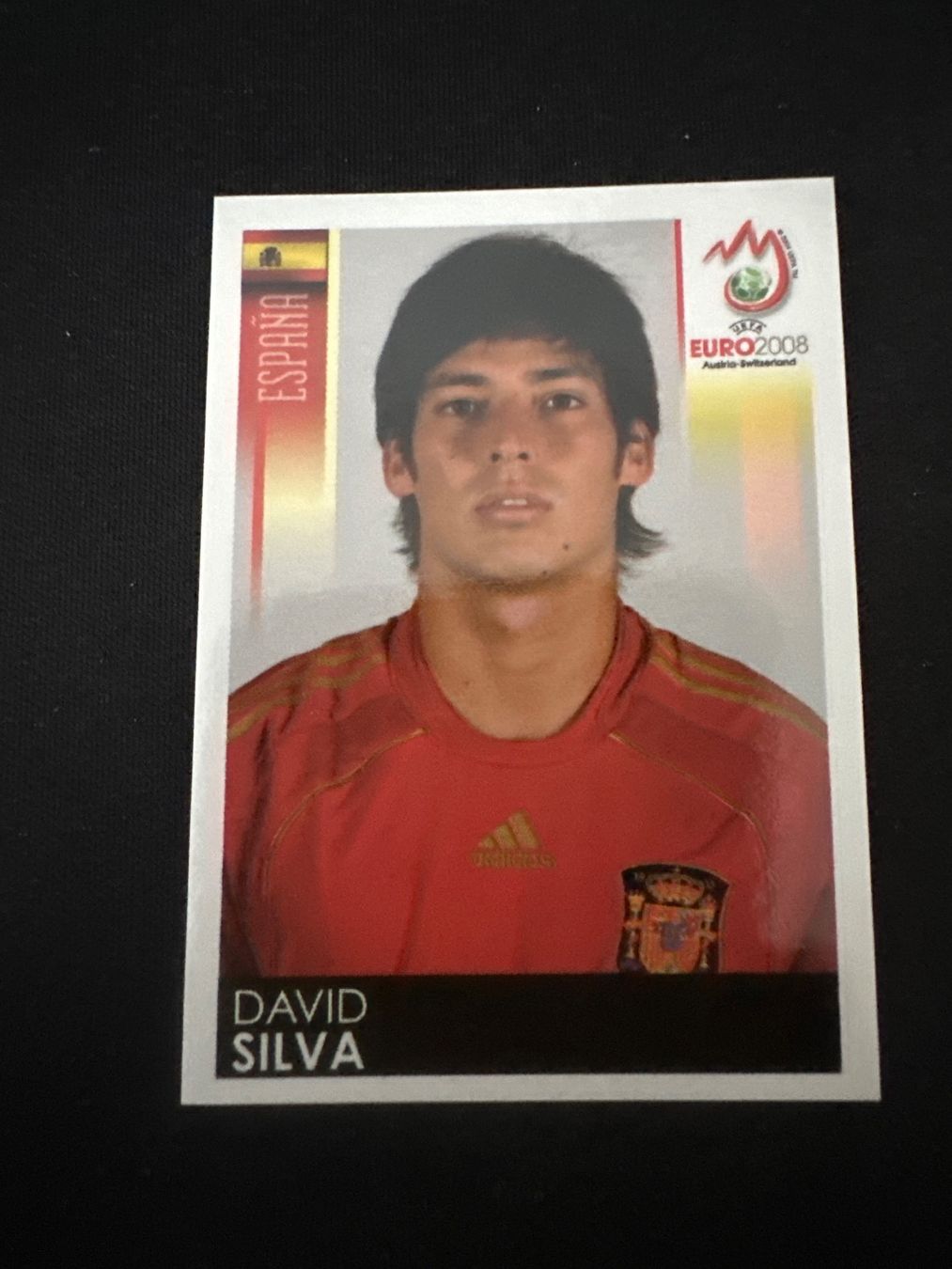 Panini Carte collezionabili: Panini UEFA EM 2008 Sticker - Nr. 430 – Usato da Sulz AG venduto da DealWerk