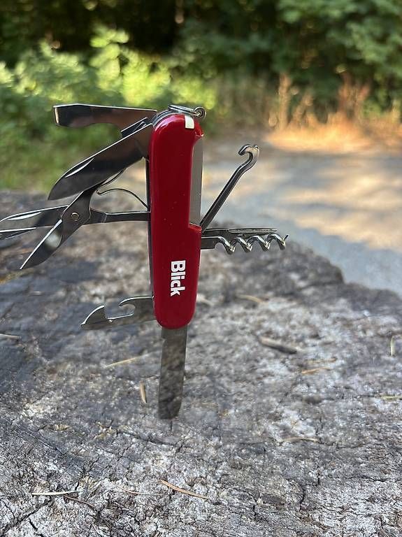 Coltelli tascabile: Sackmesser Victorinox Blick – Usato da Urdorf venduto da Rauber13