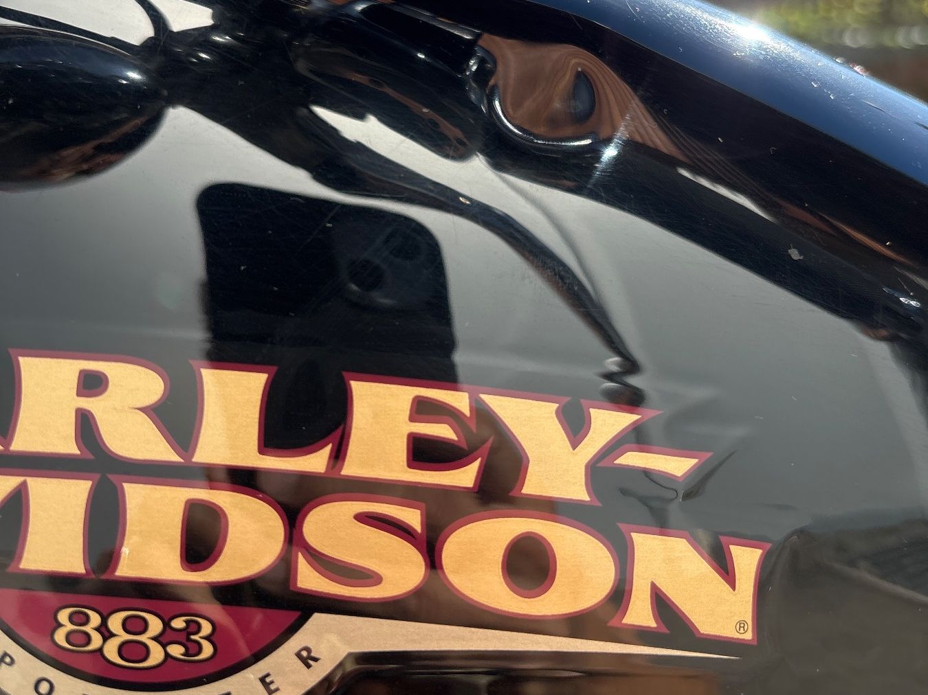 Autres: Harley XL883 – D'occasion à Essertines-Yverdon par mel_t22x 4