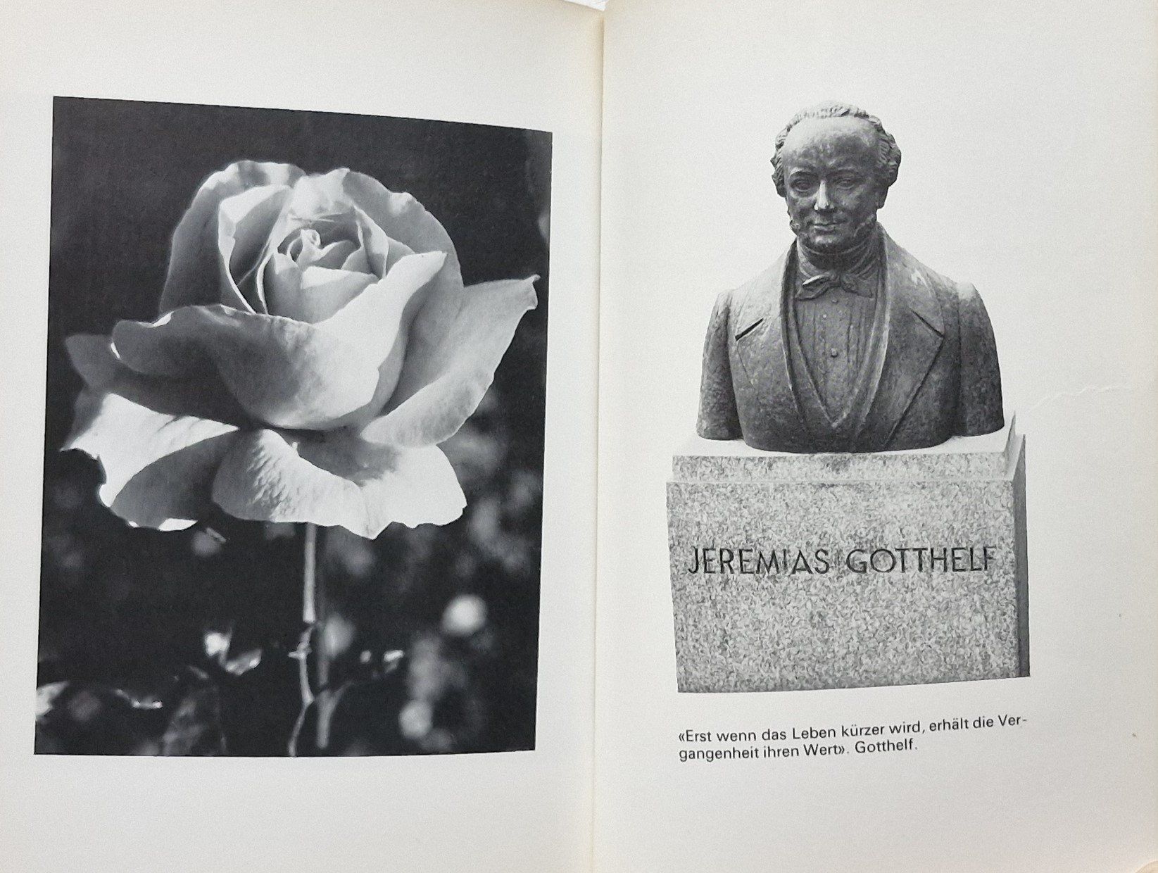 Libri: ROSENGARTEN: der schönste Aussichtspunkt auf Bern – Usato da Bern venduto da Mattthias 4