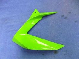 Kawasaki ZX-6R / 2013 Seitenschale links