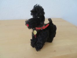 HERMANN TEDDY "Pudel Hund"