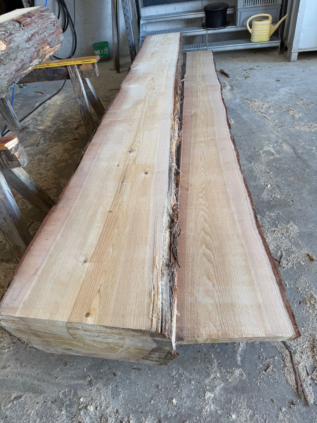 Articoli in legno: Thuja Bretter ganzer Stamm – Usato da Holziken venduto da Timbergrizzly 1