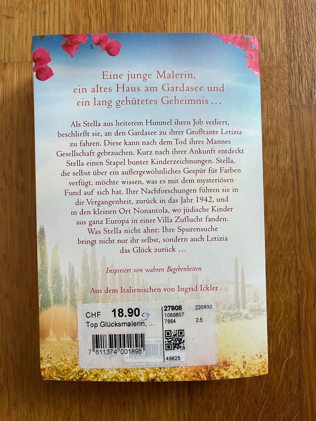 Libri: Taschenbuch "Die Glücksmalerin", C. Caboni – Usato da Grosswangen venduto da Vita500 1