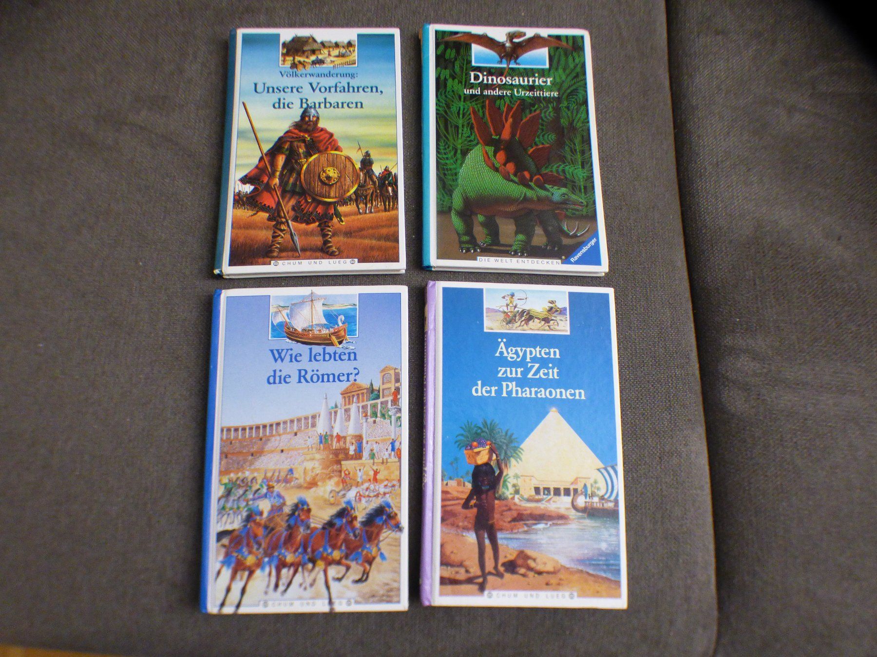 Libri: 4 Bücher – Usato da Münchenbuchsee venduto da enzian59