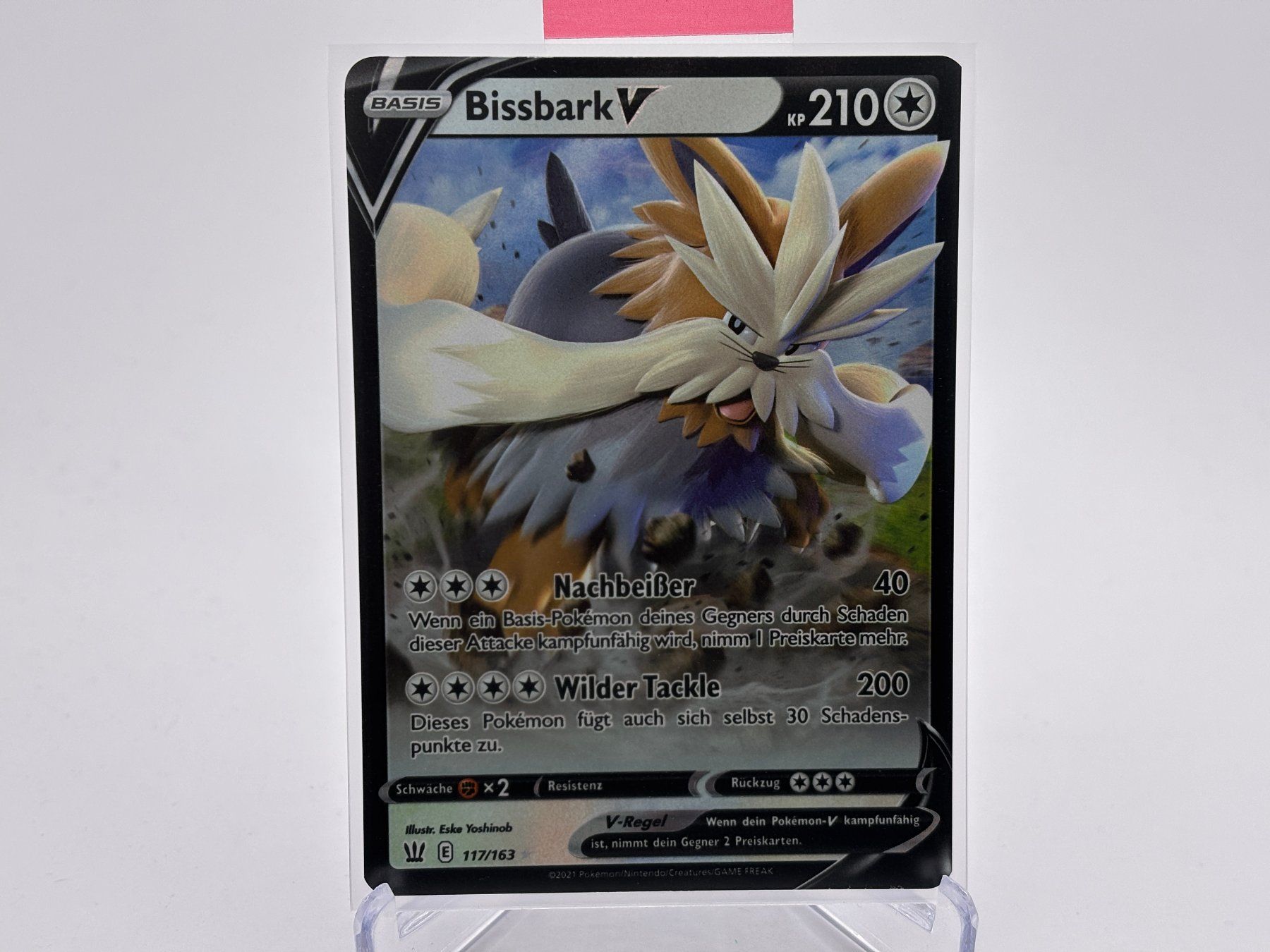 Pokémon Carte collezionabili: Kampfstile - Bissbark V  (BST 117) - DE – Nuovo (secondo la descrizione) da Allschwil venduto da Bullach