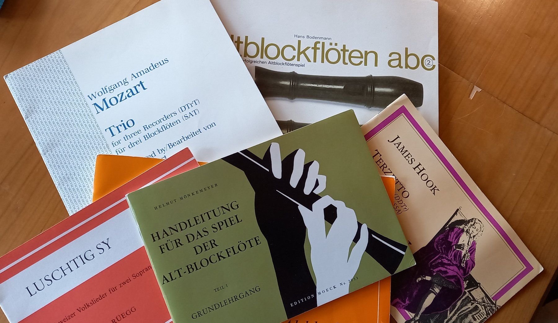 Instruments de musique: Altblockflöte Holz – D'occasion à Oberembrach par peeeg 4