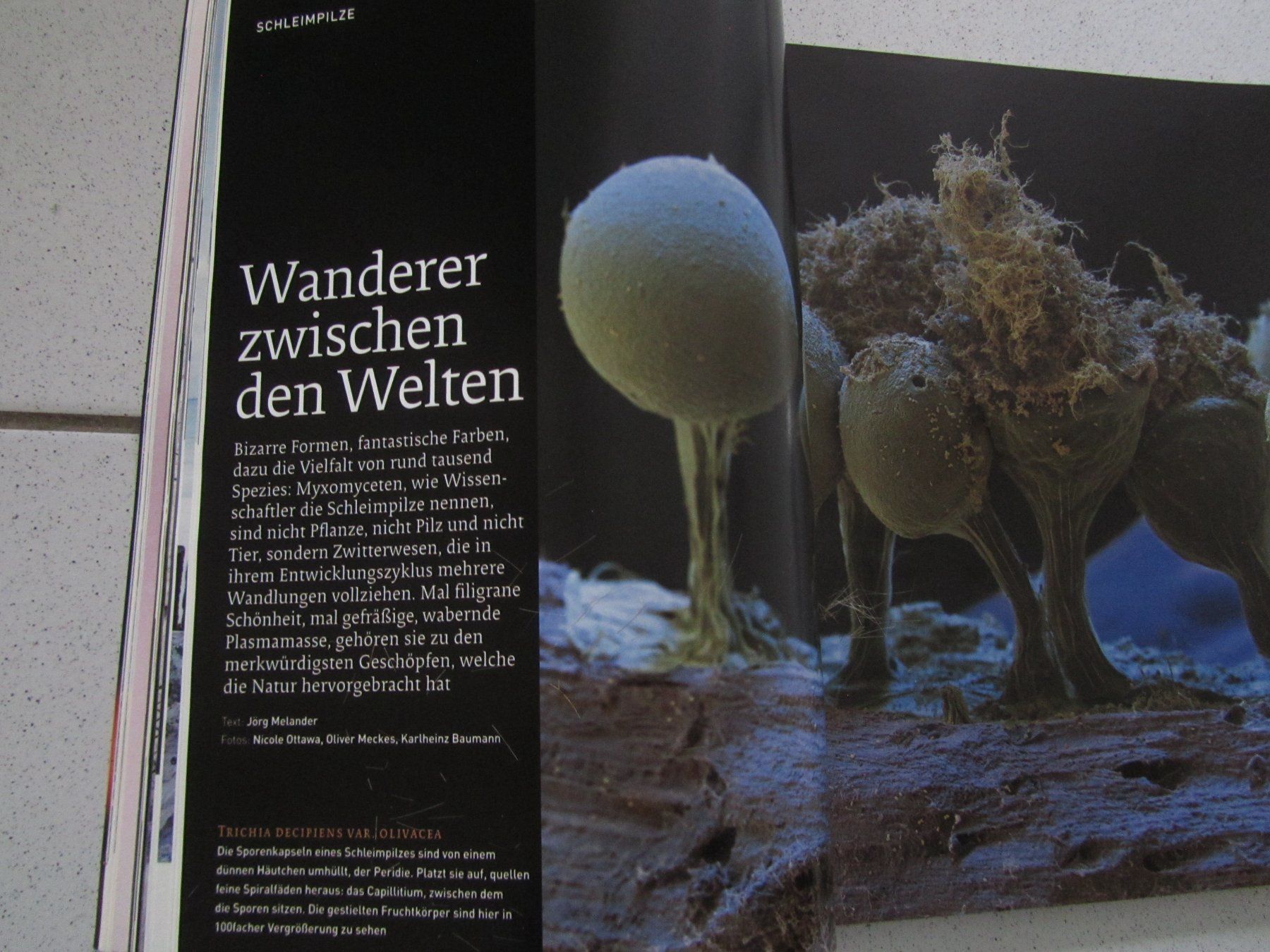 Riviste & Magazine: Geo, Nr. 10 vom Oktober 2002 – Usato da Weiningen ZH venduto da dietsch57 4