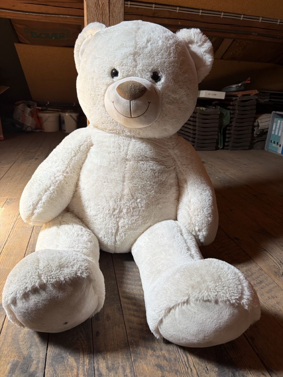 Spielzeuge: Grosser teddy  – Gebraucht aus Münsingen von ran_5sv9