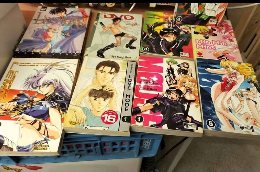 Libri: 9 manga bücher – Usato da Ebikon venduto da val_w5jm