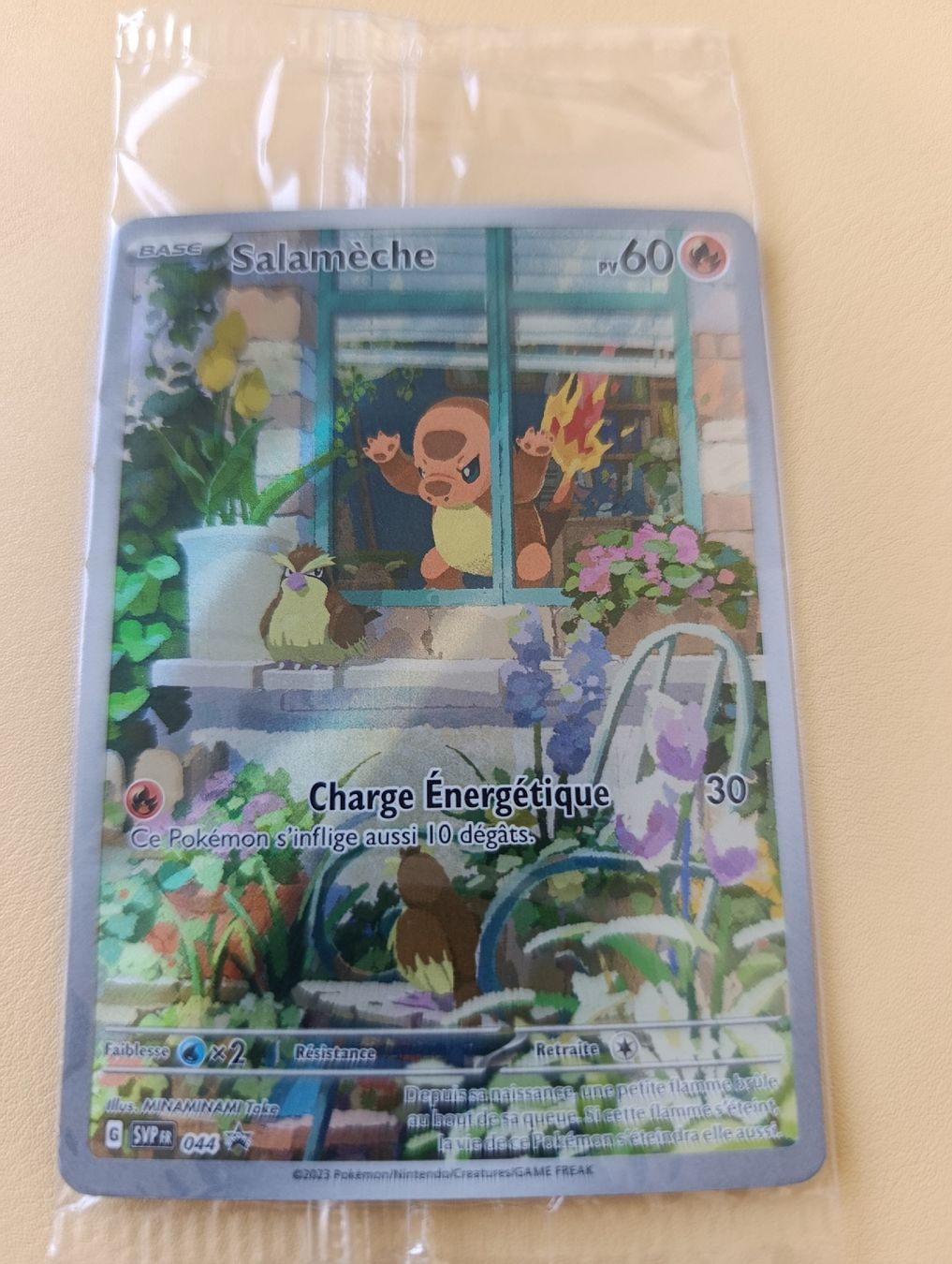 Pokémon Carte collezionabili: Carte Pokémon Salamèche Promo 044 FR scellé  – Usato da Yverdon-les-Bains venduto da cashkiller 1