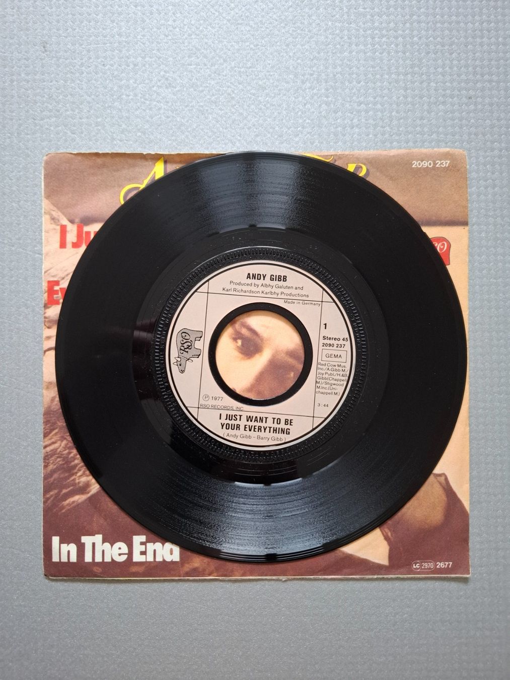 Dischi in vinile: Andy Gibb - I Just Want To Be Your Everything – Usato da Arbon venduto da pendulum 1