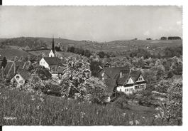 Neuheim ZG bei Baar + Sihlbrugg 1963 sehr gut erhalten