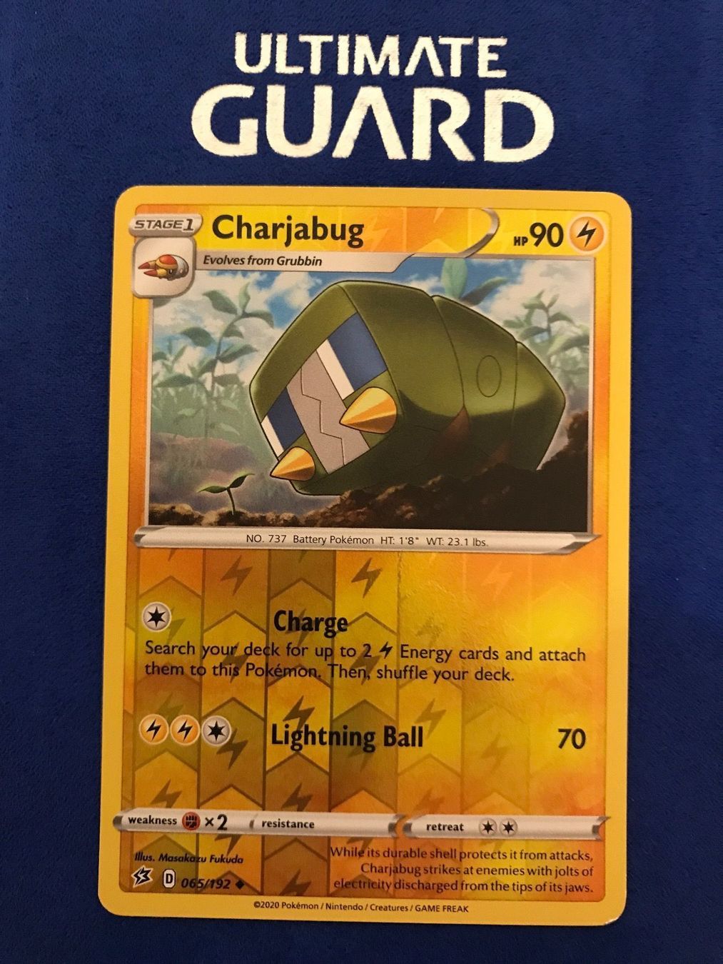 Pokémon Sammelbilder & Trading cards: Pokemon TCG - Charjabug EN reverse Holo – Neu (gemäss Beschreibung) aus Lyss von DeaDiLuna