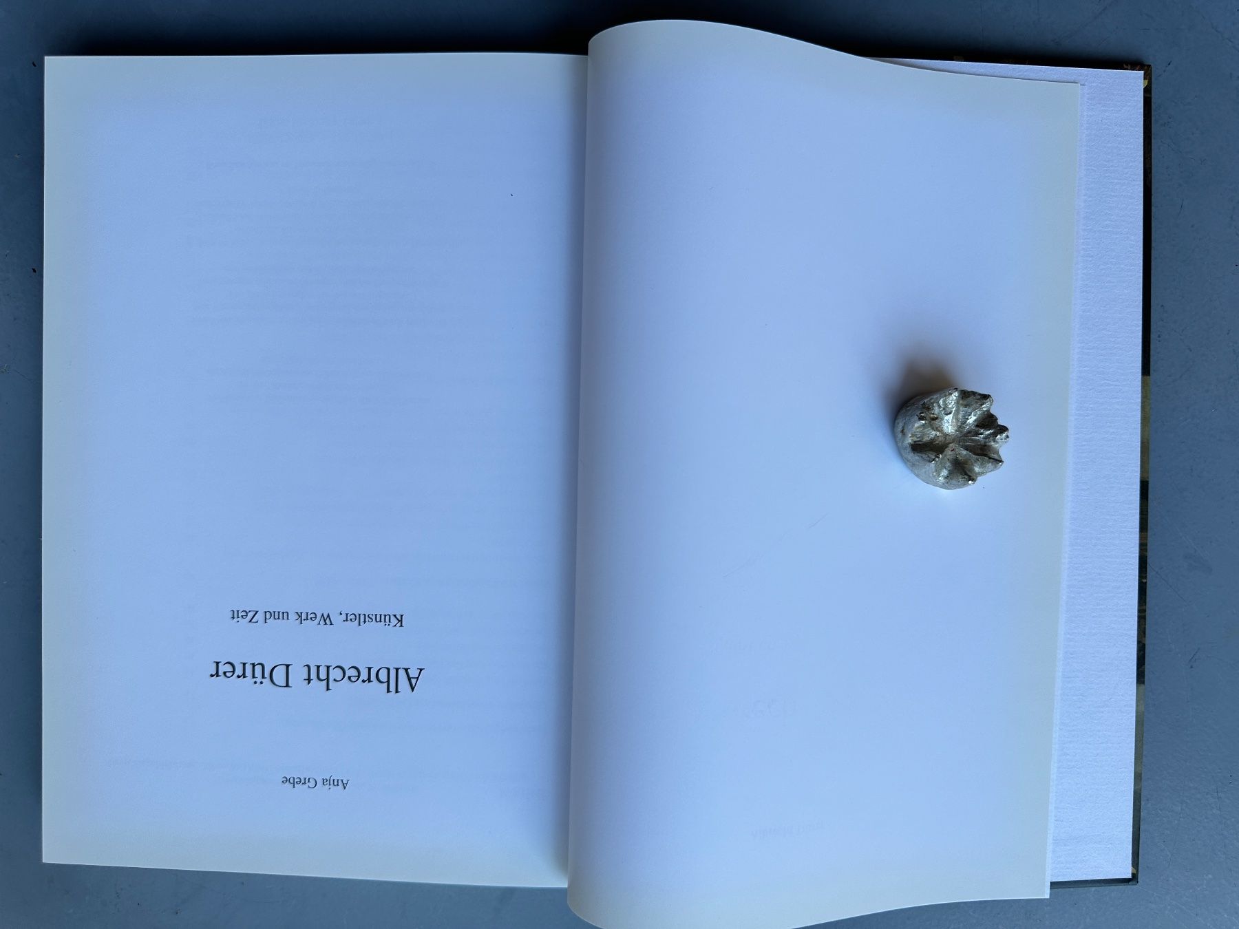 Libri: Anja Grebe: Albrecht Dürer. – Usato da Zürich venduto da allp 1