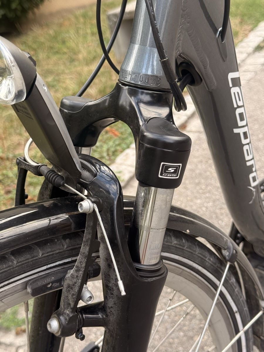 Leopard Velos: E-bike  Leopard Elegant – Gebraucht aus Klingnau von amr_tgq7 1