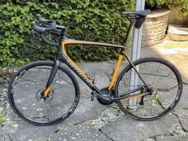 Spezialized Roubaix Expert 61 DI2