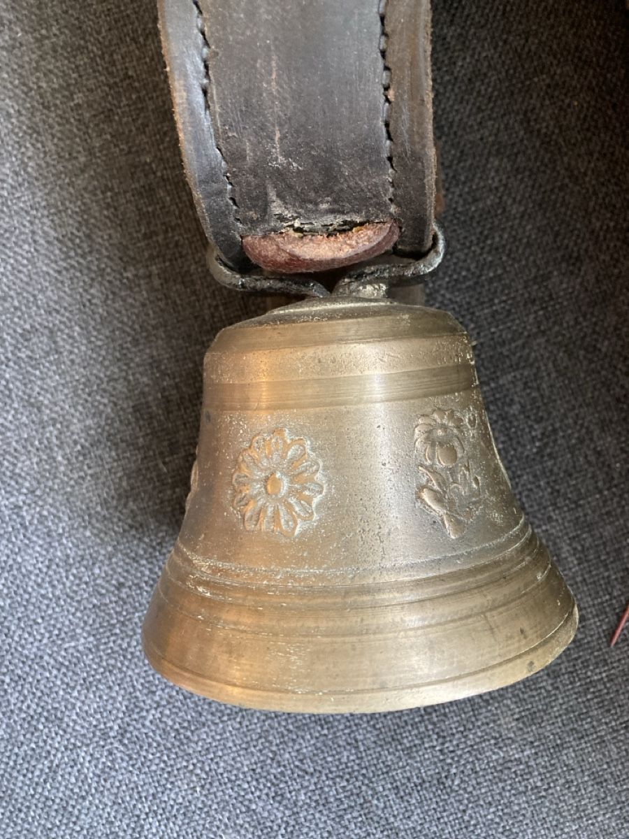 Campanacci mucche: Glocke – Usato da grüningen venduto da Luchs07 2