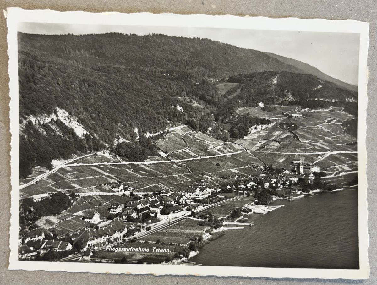 Cartoline postali: Flugaufnahme Twann – Usato da Luzern venduto da Balbel