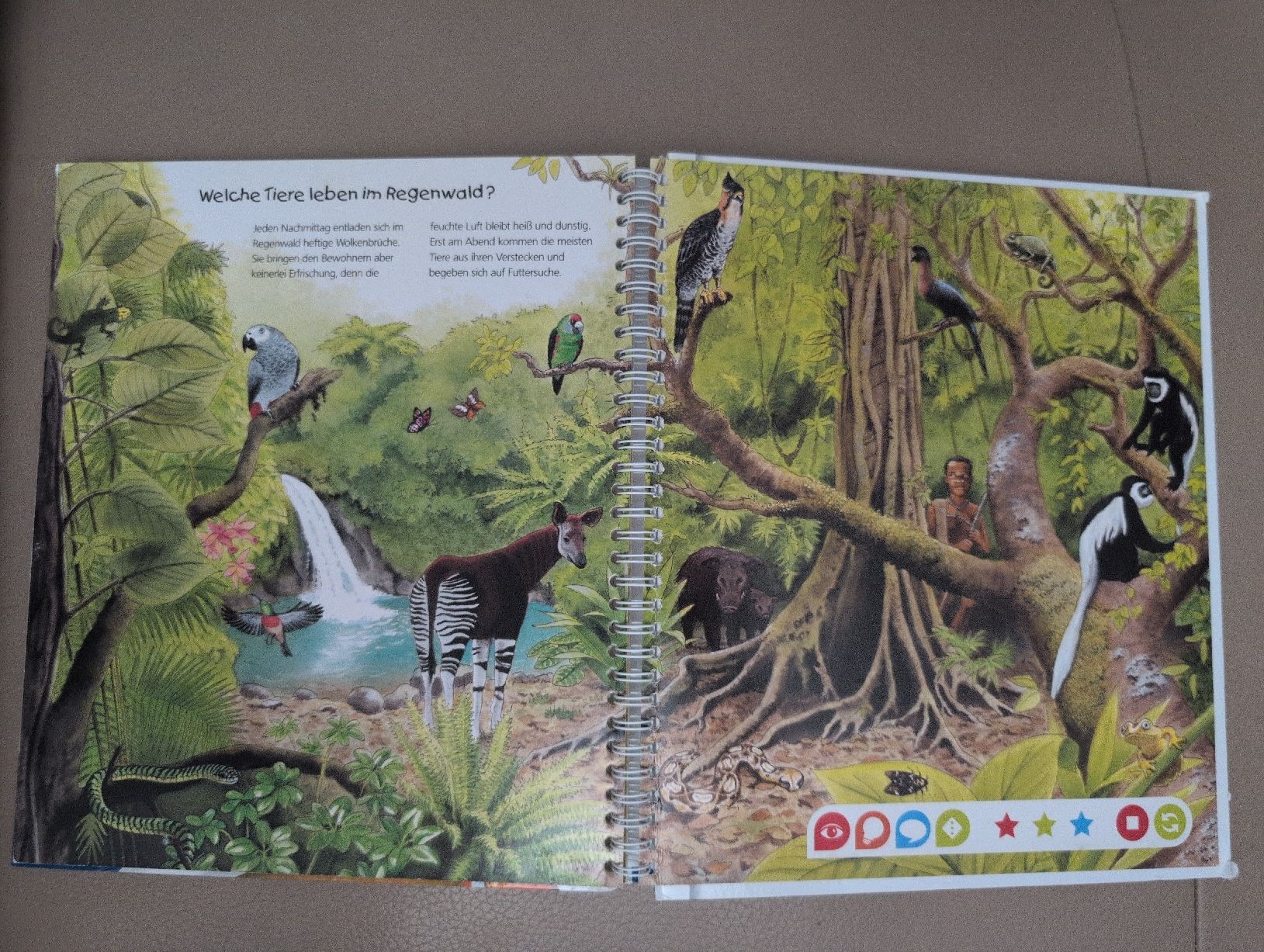 Libri: tiptoi Entdecke die Tiere Afrikas Buch – Usato da Schwerzenbach venduto da _charme_ 8