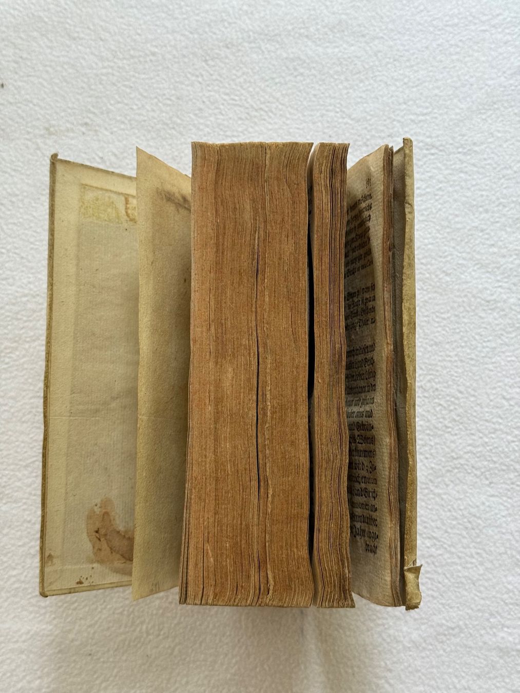 Libri: De Singularibus quibusdam 1671 – Usato da Bern venduto da xberg36 5