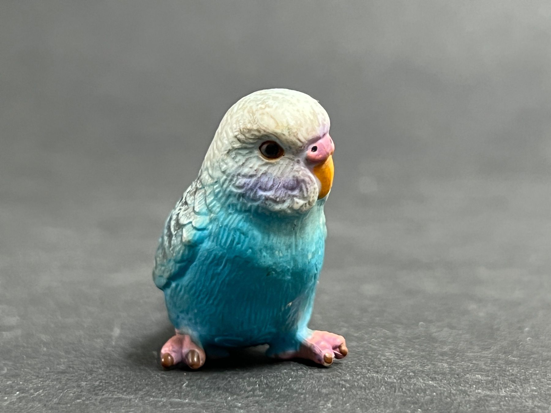 Schleich Statuette: Schleich Wellensittich blau Vogel – Usato da Ennetbaden venduto da mapa05 4