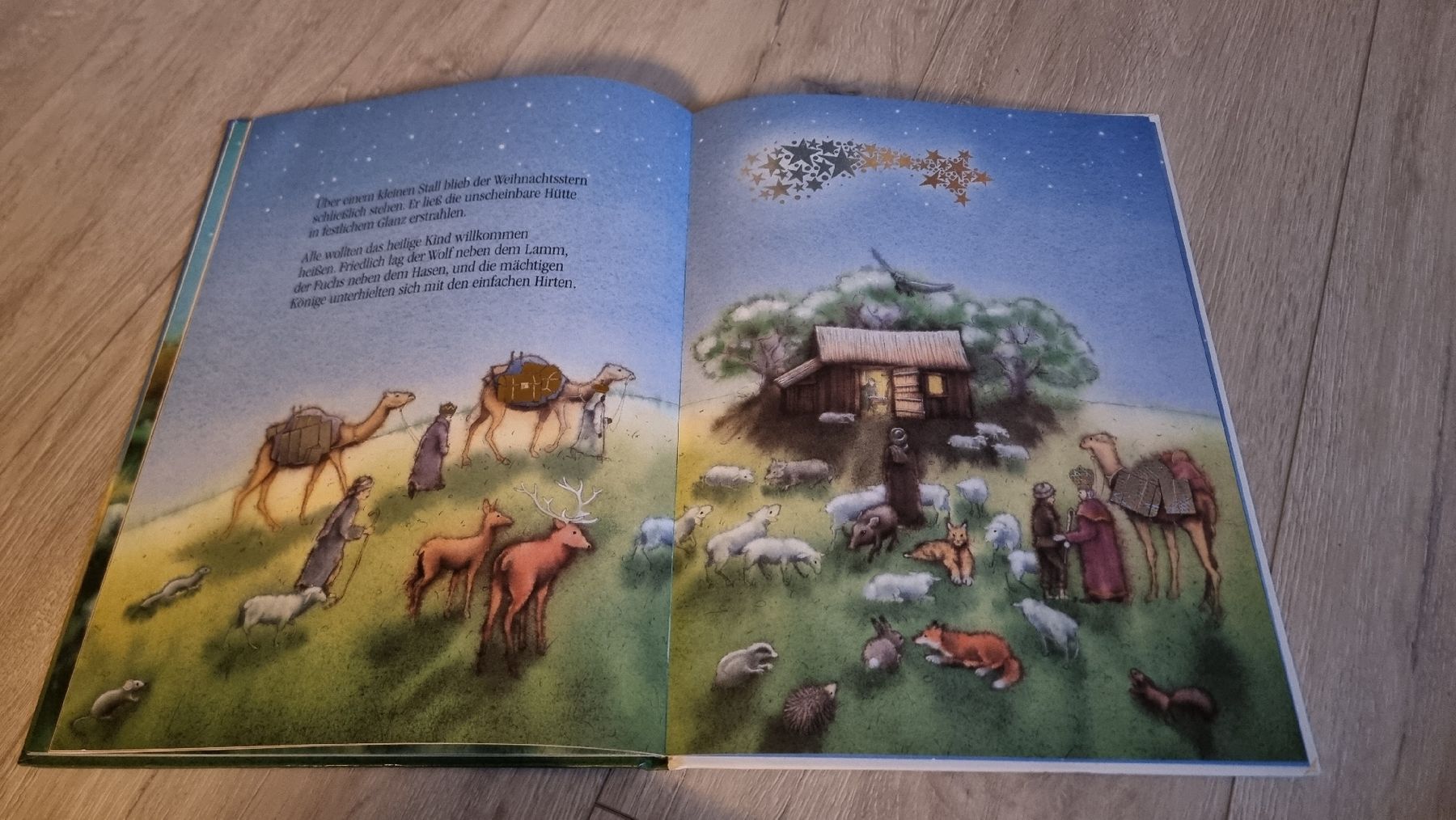 Bücher: Der Weihnachtsstern - Wunderschönes Kinderbuch – Gebraucht aus Wigoltingen von Zuckerfee84 2