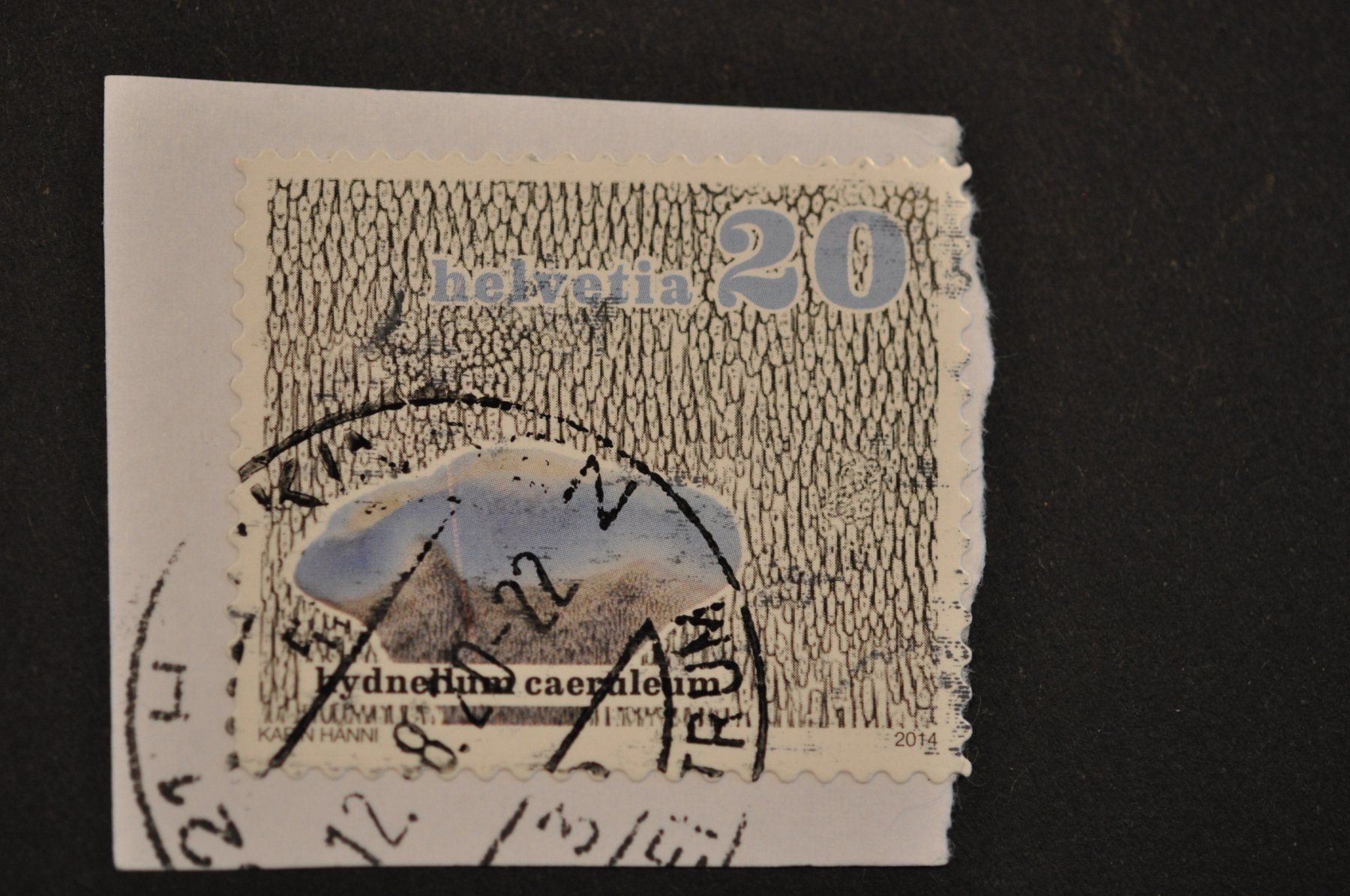 Alle Briefmarken: Abart Pilz 2014  länglicher roter Fleck – Gebraucht aus Worb von Buespy 2