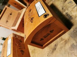 3 x Kleine Holztruhe Kiste Box