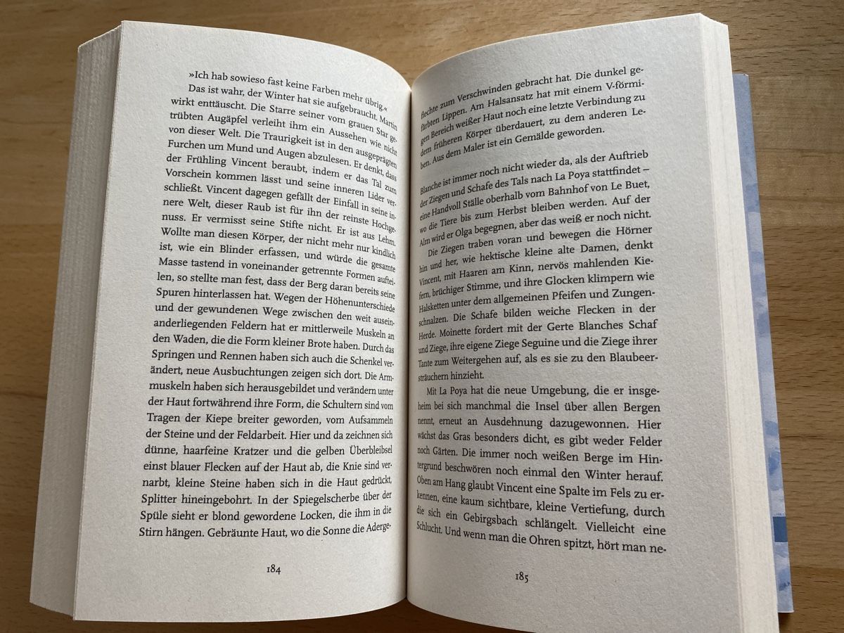 Libri: Über allen Bergen - Valentine Goby – Usato da Schwarzenburg venduto da Michellu 7