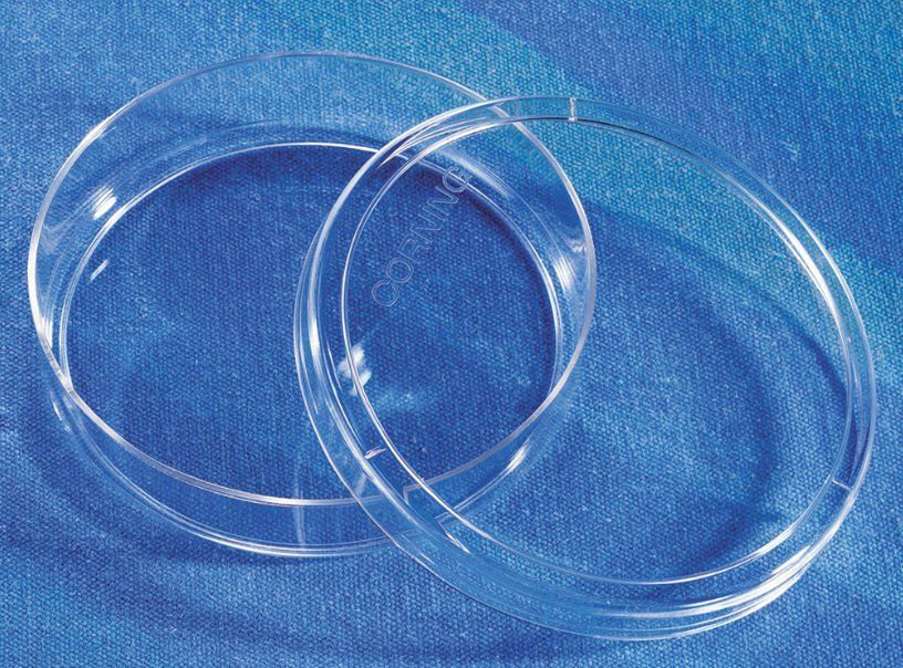 Corning® CellBIND® Surface 100 mm Culture Dish Acheter sur Ricardo