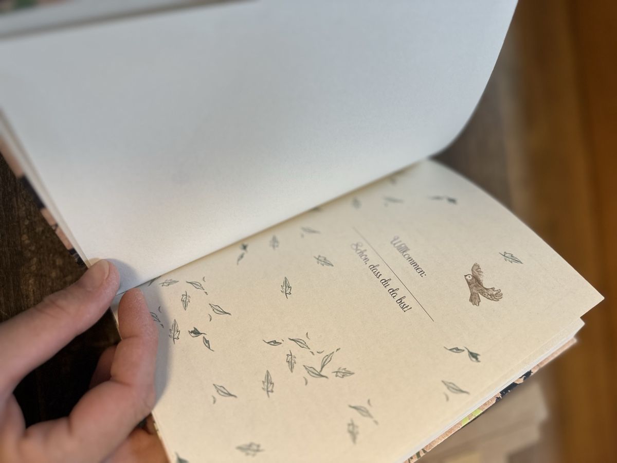 Bücher: Mein Willow Waldtagebuch  NEU – Neu (gemäss Beschreibung) aus Ettingen von rah_xgy9 3