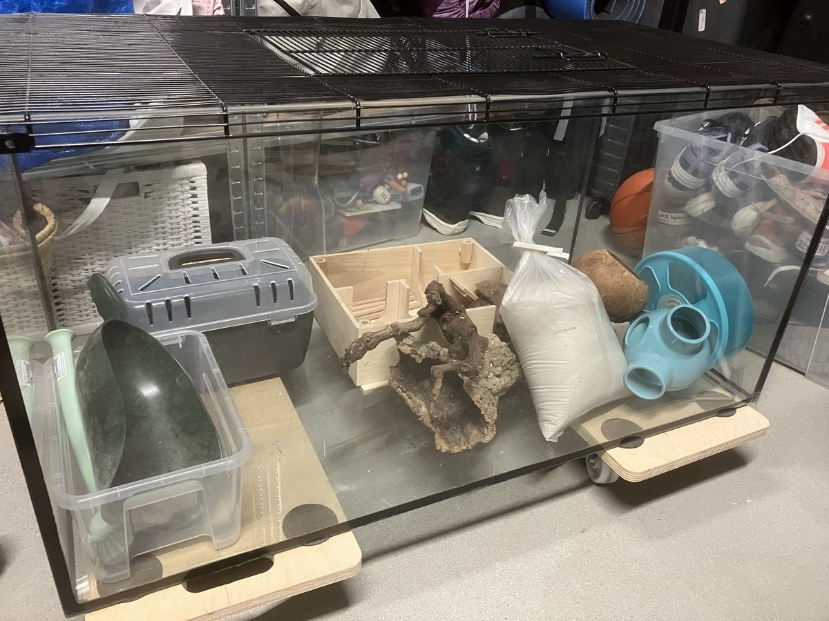 Terrario: Terrarium  – Usato da Schinznach Dorf venduto da rud_8kgx