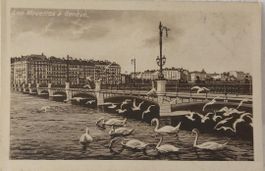 GENÈVE - Les Mouettes
