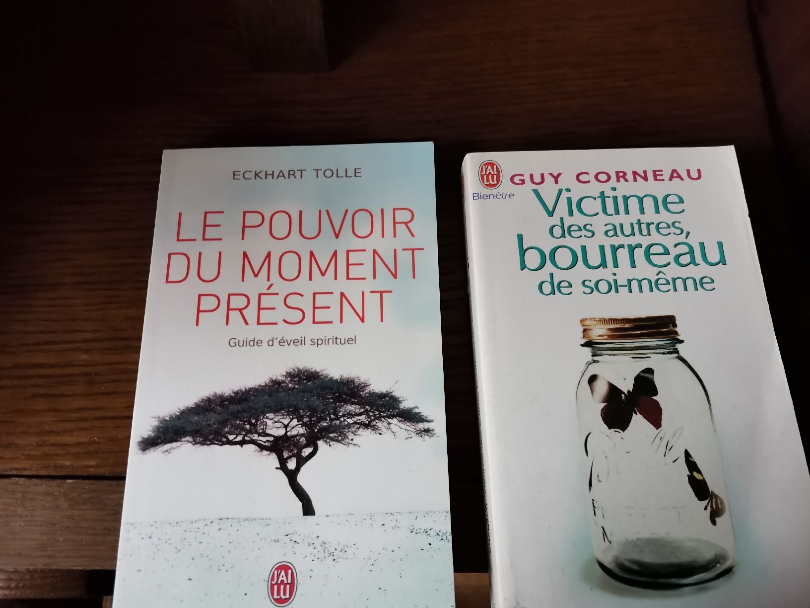 Livres: Livre psychologie – Neuf (Voir description) à Cournillens par masoeur