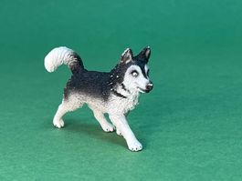 Schleich 16835 Husky Hund