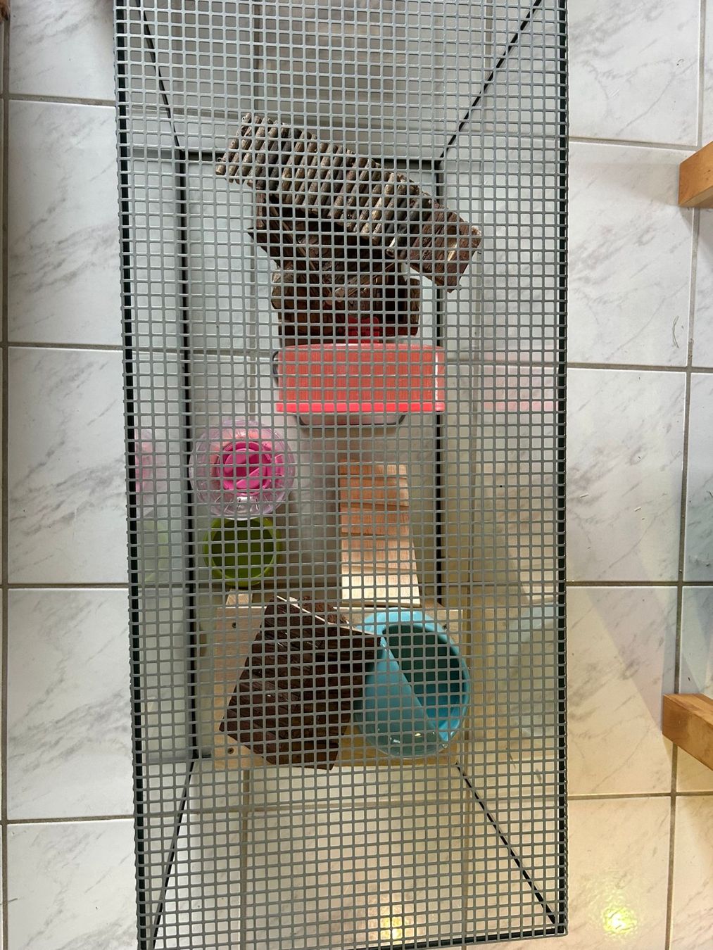 Gabbie, trasporto & Sicurezza: Cage Hamster – Usato da Cudrefin venduto da des_d2n2 1