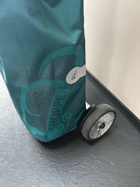 Altro per la casa: Shopper Einkaufstrolley – Usato da Bremgarten b. Bern venduto da m-stalder80 1