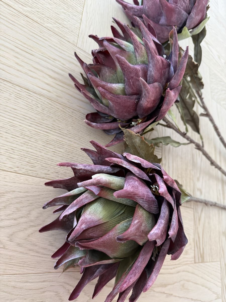 Pflanzen & Samen: Westwing - Kunstblume Protea – Neu und originalverpackt aus Horgen von Christina93Jolina 2