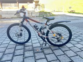 Kinder-Mountainbike CALIFORNIA 24"