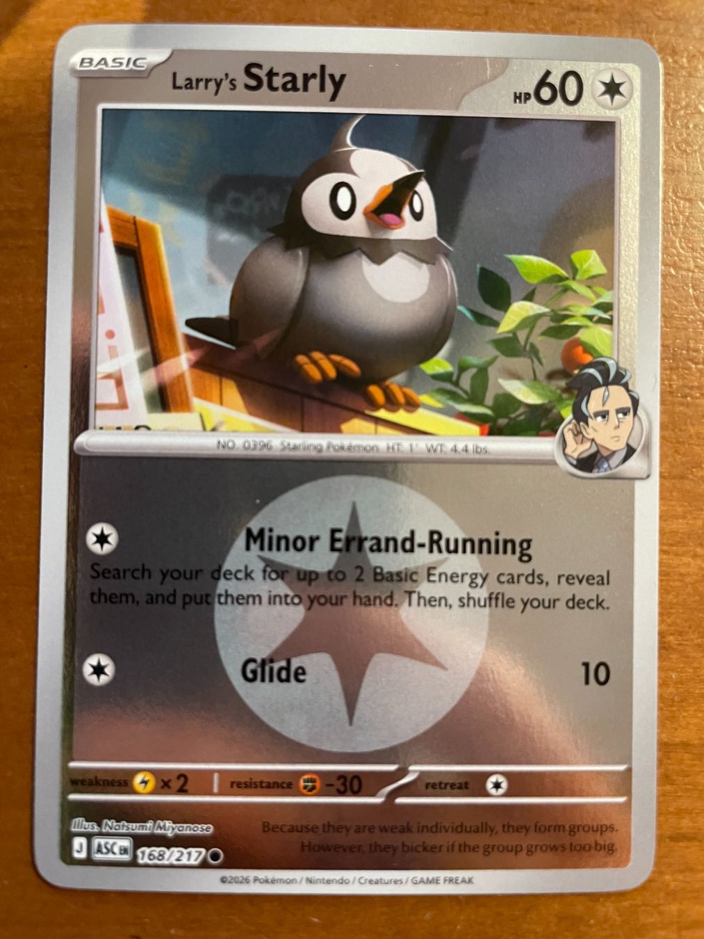 Pokémon Carte collezionabili: Pokemon Larry's Starly Reverse (Versand gratis) – Nuovo (secondo la descrizione) da Chur venduto da Angerson