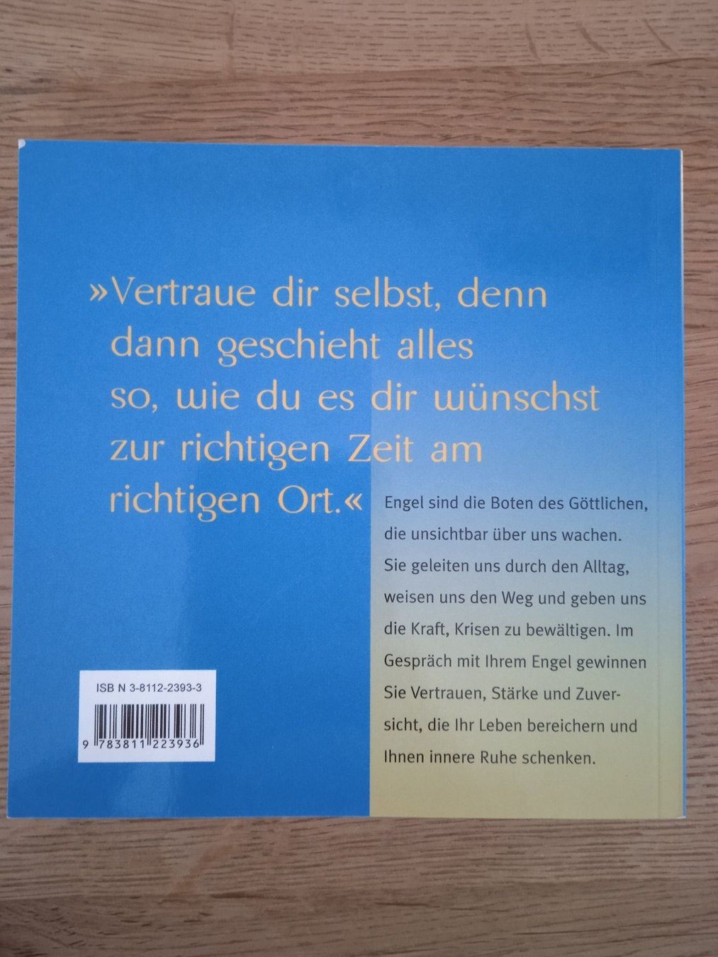 Libri: Zwiegespräche mit meinem Engel – Usato da Rothrist venduto da MaSa82 1