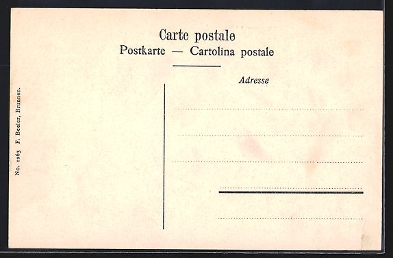 Cartoline postali: AK Sisikon, Hotel Schillerstein – Usato da Berlin venduto da bartko-reher 1