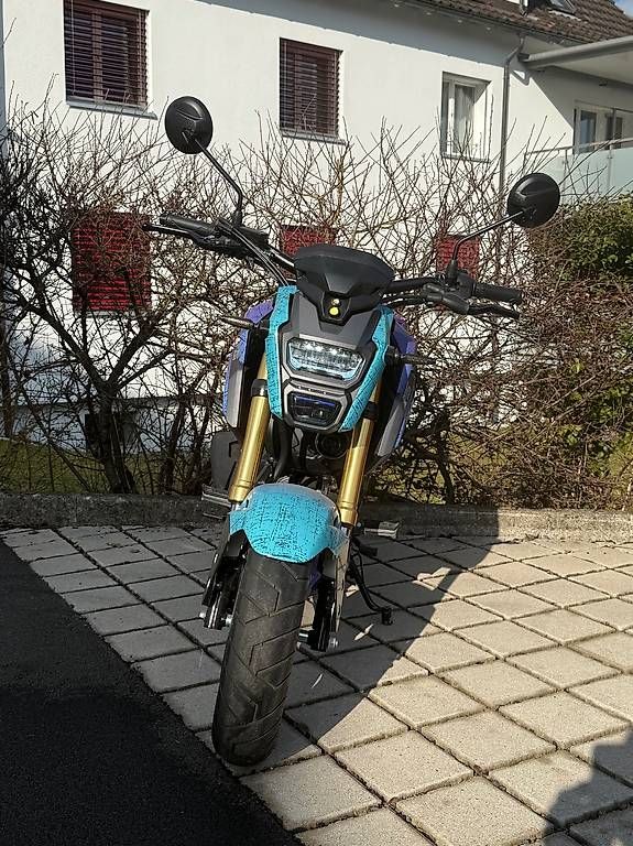 Honda Altro: Honda MSX 125 – Usato da Hinwil venduto da fir_v7yk 2