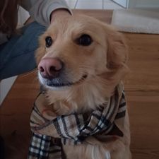 Profile image of emiFluffy