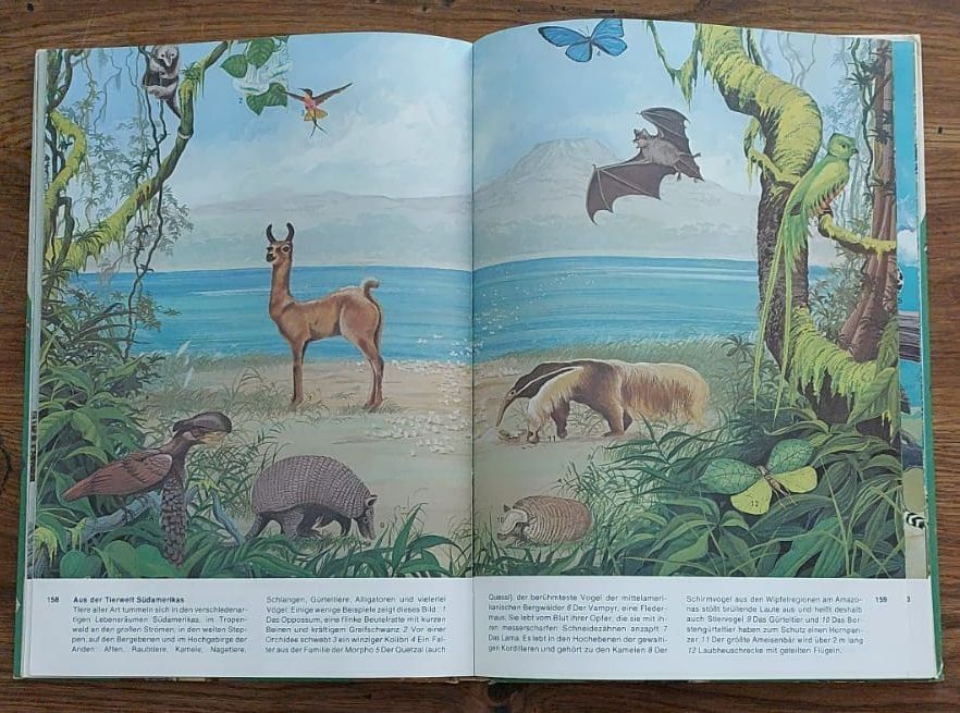 Libri: Das grosse Bilderlexikon, Kinderlexikon mit Farbbildern – Usato da Ebikon venduto da henry76 2