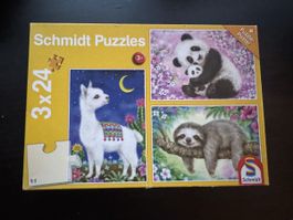 Schmidt Puzzles