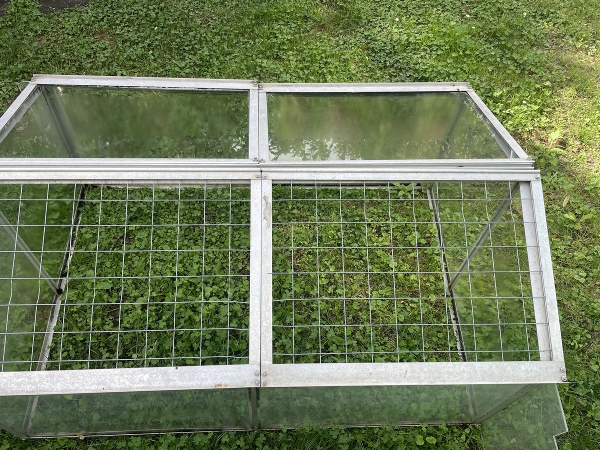 Piante & sementi: Frühbeet Aluminium – Usato da Dulliken venduto da Emys_1 3